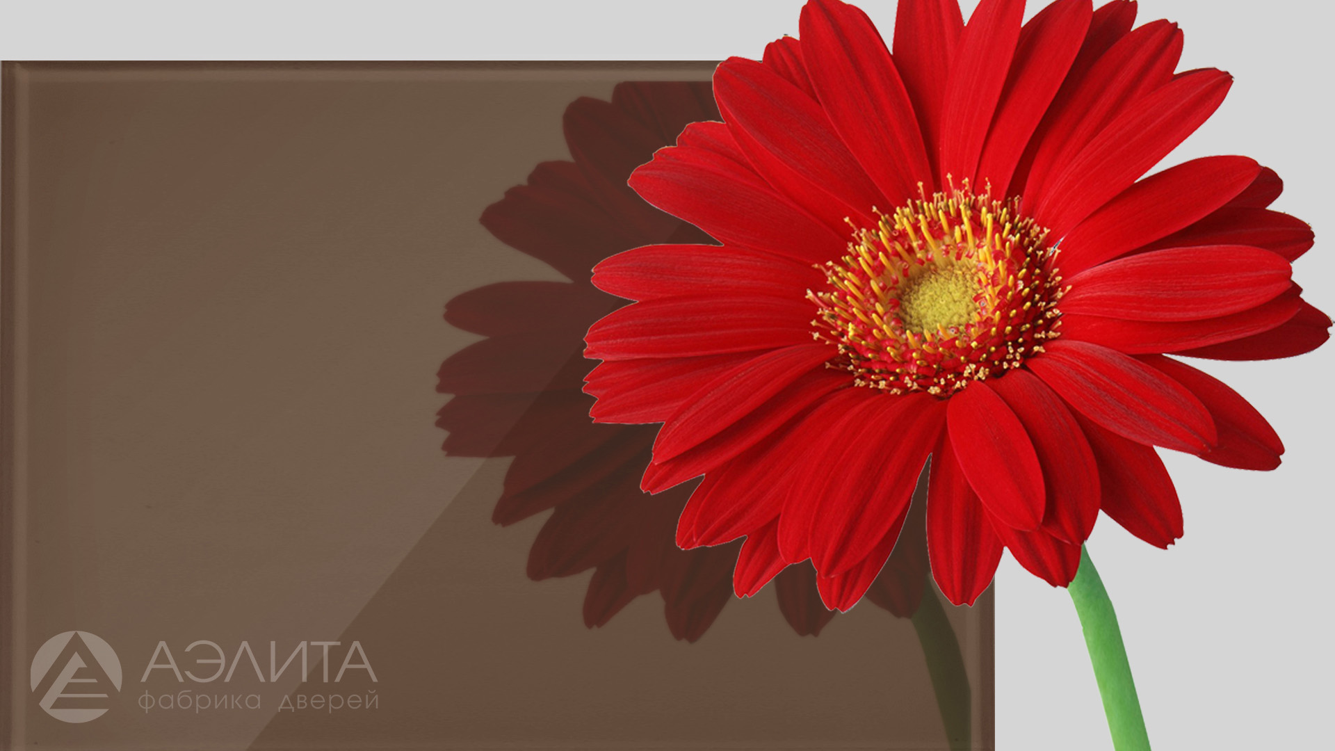 Триплекс 4+4 бронза